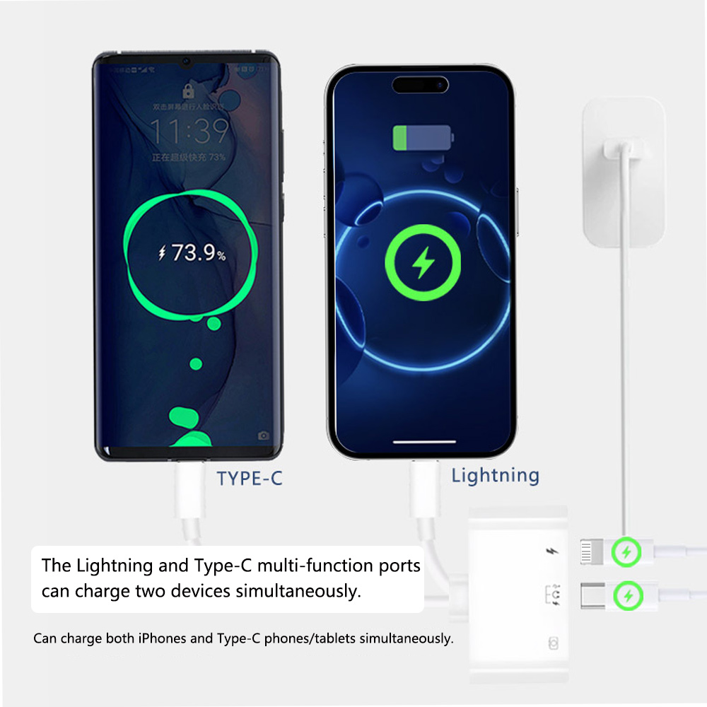 2 in 1 라이트닝 타입 C to USB OTG 카메 - Wired Earphone Lightning 리뷰 및 가격